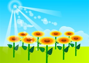 葵花向阳flash动画素材